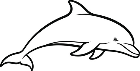 dolphin isolated on white © Godwin