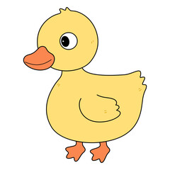 duck cartoon