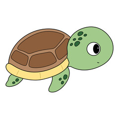 turtle  cartoon