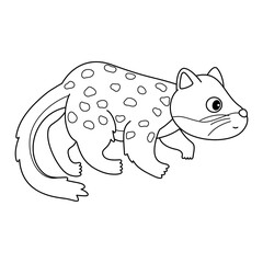 Quoll doodle outline line art