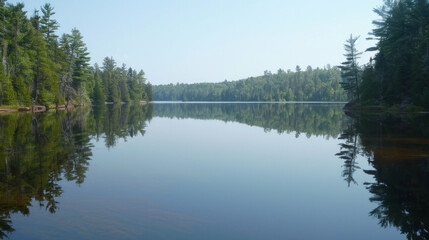 Calm lake reflection serene nature scene peaceful forest