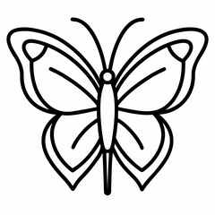 butterfly vector illustration