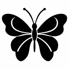 black and white butterfly