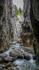 Switzerland, Meiringen, a waterfall in a forest