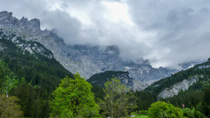 Switzerland, Meiringen, a tree with a mountain in the background