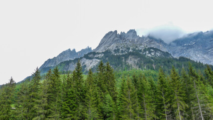 Switzerland, Meiringen, a tree with a mountain in the background