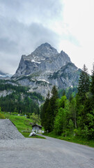 Switzerland, Meiringen, a tree with a mountain in the background