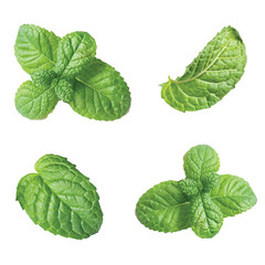 Mint leaves, cluster, top view placed on a white background.
