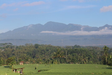 natural scenery, sky, clouds, fog, rice fields, trees and mountains.