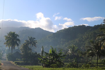 natural scenery, sky, clouds, fog, rice fields, trees and mountains.