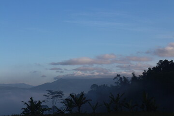 natural scenery, sky, clouds, fog, trees and mountains.