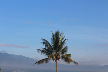 natural scenery of mountains, coconut trees, rice fields.