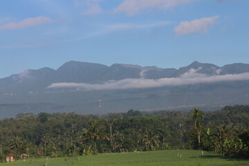 natural scenery, rice fields, plantations, mountain hills.