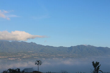 natural scenery, rice fields, plantations, mountain hills.
