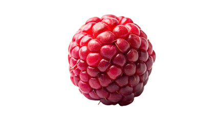 raspberry isolated on white background