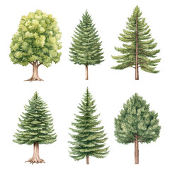 Diverse Collection of Hand-Drawn Trees for Nature-Themed Designs, isolated on transparent background.