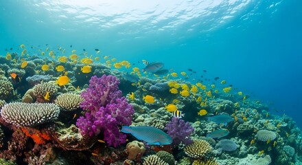 Obraz premium Underwater scene of a vibrant coral reef teeming with colorful fish and marine life
