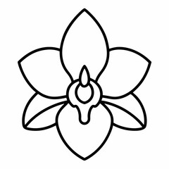 Orchid outline icon on white background