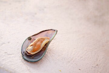 Close up of mussels seafood