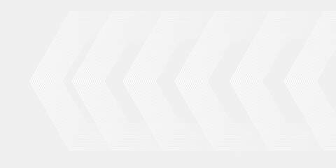 Fototapeta premium Abstract white gray background with glowing geometric lines. Modern shiny gray hexagon lines pattern. Technology futuristic concept. Suit for poster, banner, brochure, cover, flyer. Eps10