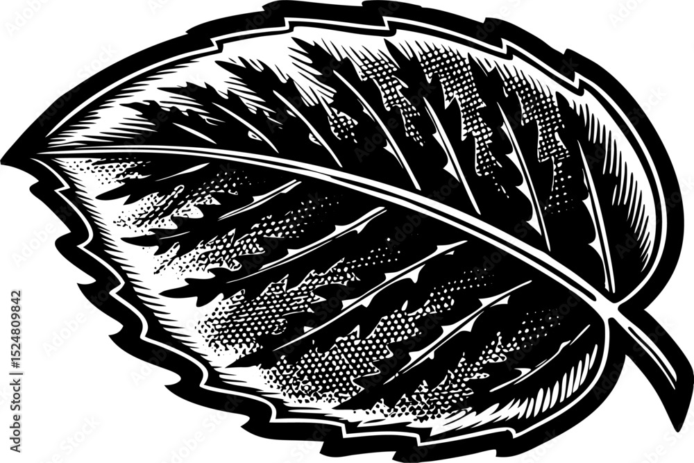 Poster retro style leaf design with photocopy stipple effect isolated on transparent background