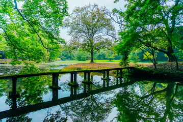 Usa Shrine in Oita Prifecture