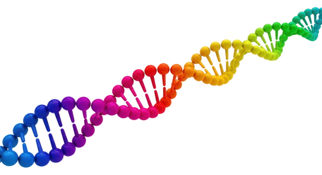 Abstract rendering of a DNA double helix structure displayed in a vibrant rainbow gradient on black.