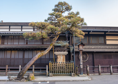 Japanisches Haus hinter einem Baum
