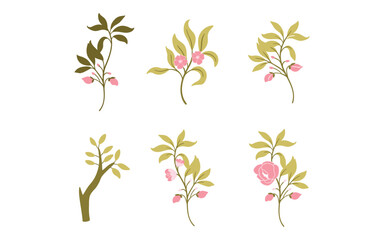 Set of floral elements design, vector, isolated on transparent background