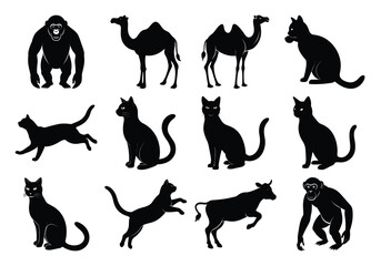 Silhouettes of Vector Cats, Camels, Cows, and Monkeys in Various Poses on White Background