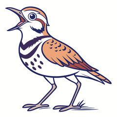 Singing lark bird displaying brown and white plumage is standing tall happily in nature