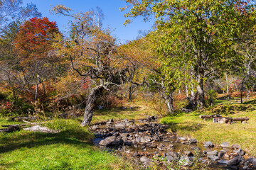 日本の風景・秋　紅葉の乗鞍高原