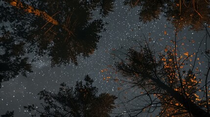 galaxy sky only filled with stars and dreamy reality