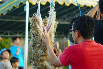 A man skinning a sacrificial goat that was hung on a pole during Eid al-Adha
