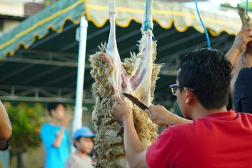 A man skinning a sacrificial goat that was hung on a pole during Eid al-Adha