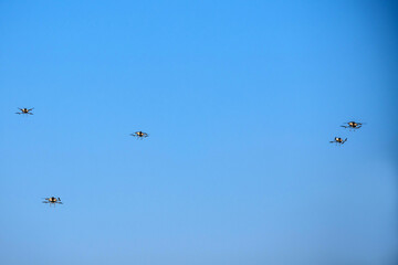 Multi-drones are flying to find information and missions