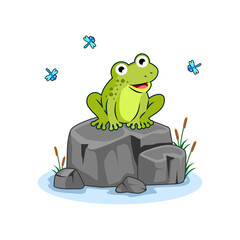 cute green frog on rock