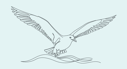 Line Art Illustration of a Soaring Seagull in Flight