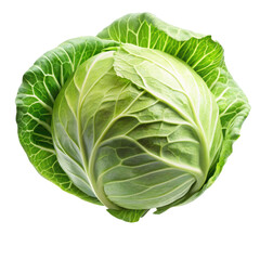 Fototapeta premium cabbage isolated on white