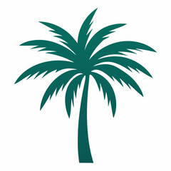 palm tree vector illustration