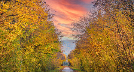 a sunset in a beautiful autumn in the countryside, on a country road in the Dolomites
