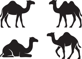 Camels set isolated vector illustration