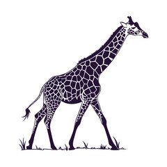 Obraz premium silhouette giraffe on white background