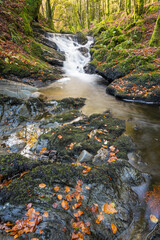 Kennick Burn, near Laurieston, Galloway Forest, Dumfries & Galloway, Scotland