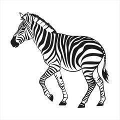 silhouette zebra on white background