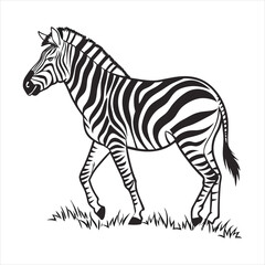 silhouette zebra on white background
