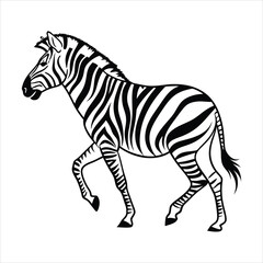 silhouette zebra on white background