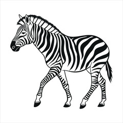 Obraz premium silhouette zebra on white background
