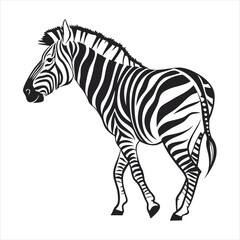 Obraz premium silhouette zebra on white background