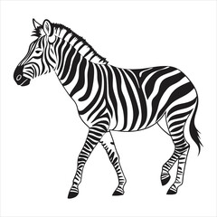 Fototapeta premium silhouette zebra on white background